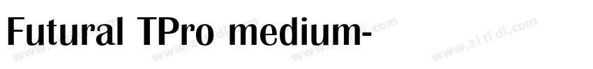 Futural TPro medium字体转换
